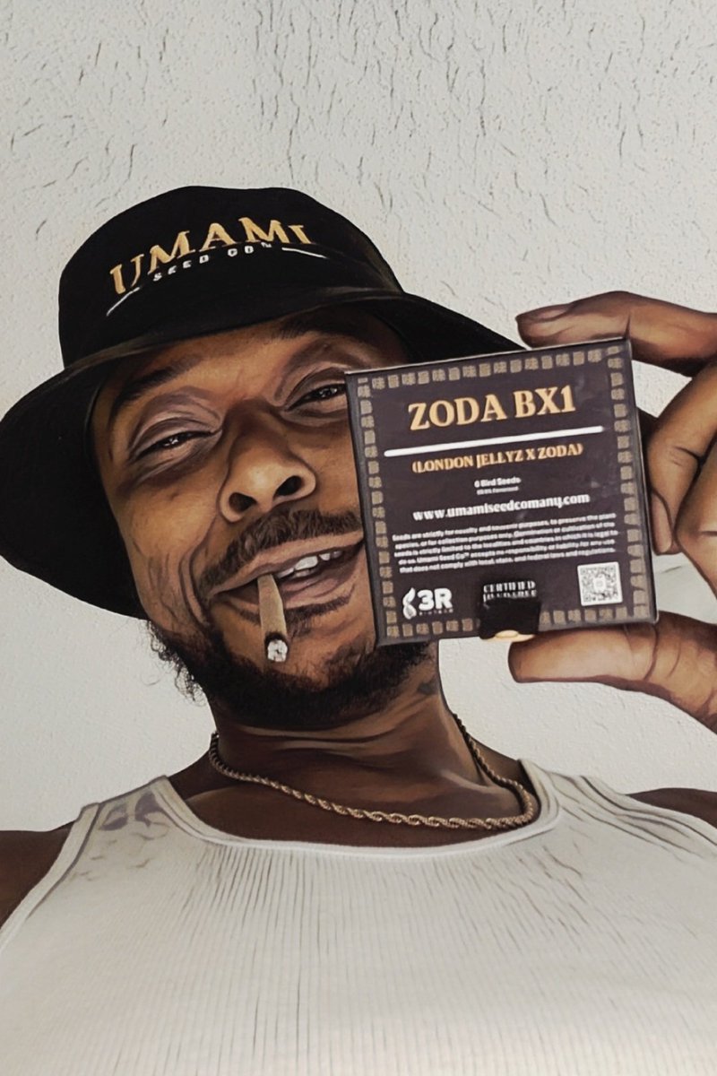 Ayyeeee I'm hoping all 4 pop. I'm itching to add 2 more for back ups. Lol <a href="/Umamiseedco/">Umami Seed Co™</a> 
In the mean time while they swimming.  It's Football and #Pot_break grow off 🌊