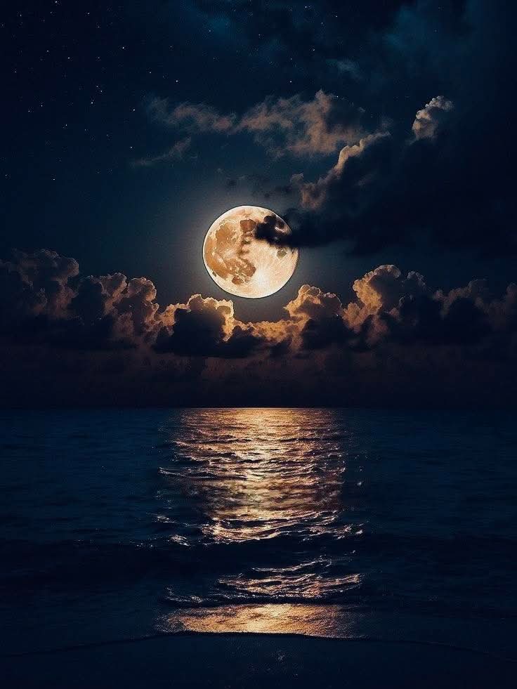 جني الجاسرالاهلي الوطن والقمة والحياة🦅 tweet media