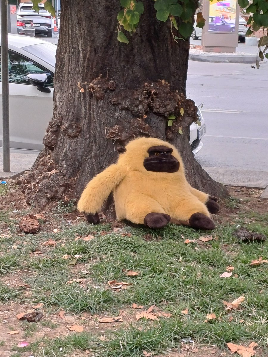 Labubu kadar çirkin ama çocuk olsam fenasal oynardım bununla