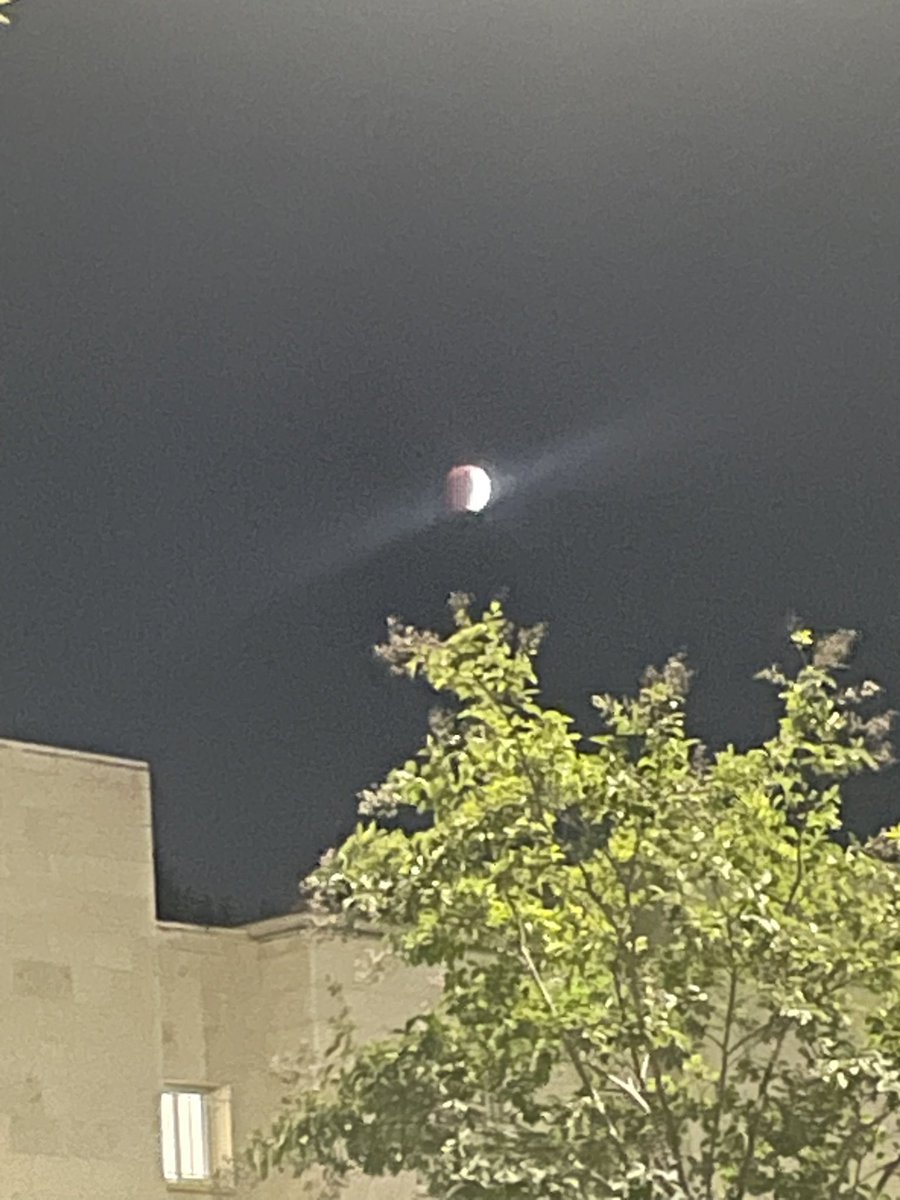 mcbprdn's tweet image. А у нас тут лунное затмение