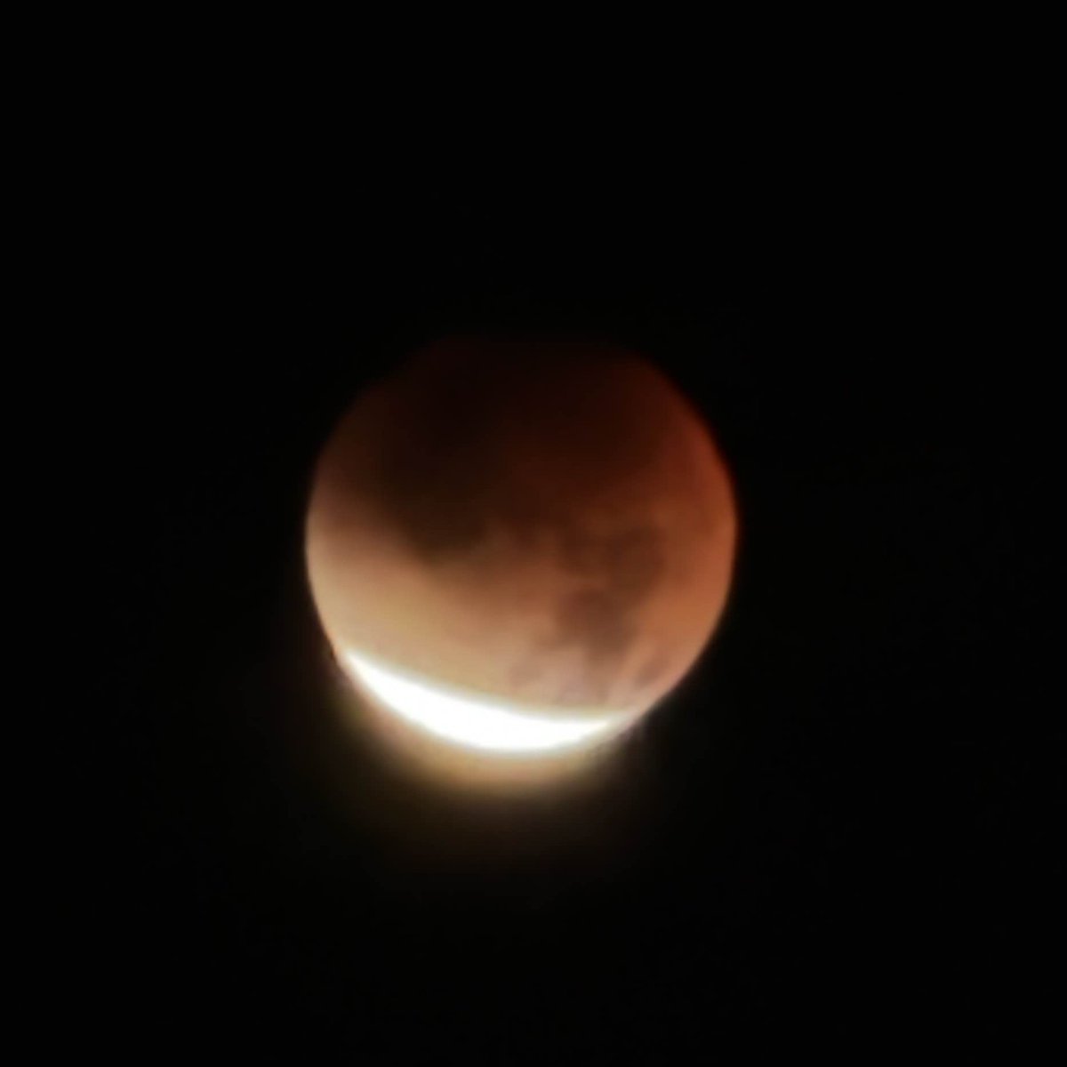 robocosan's tweet image. すごおおおおおおおいいいい赤っぽいいいいいい！！！