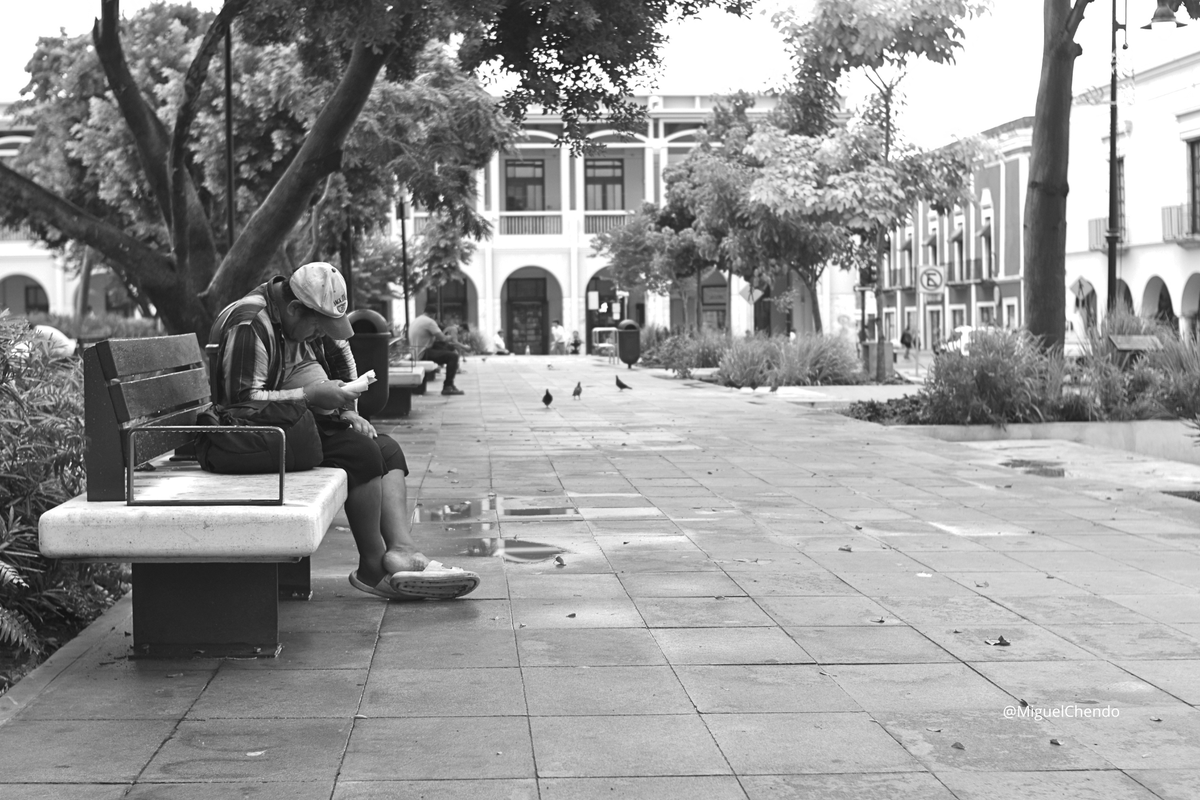 "Lectura Captivante" 📸

Mérida, Yucatán 🗺

Más en: miguelchendo.com/portafolio-fot…

#blackandwhitephotography #photograph #fotografia #fotografía #photography #photographie