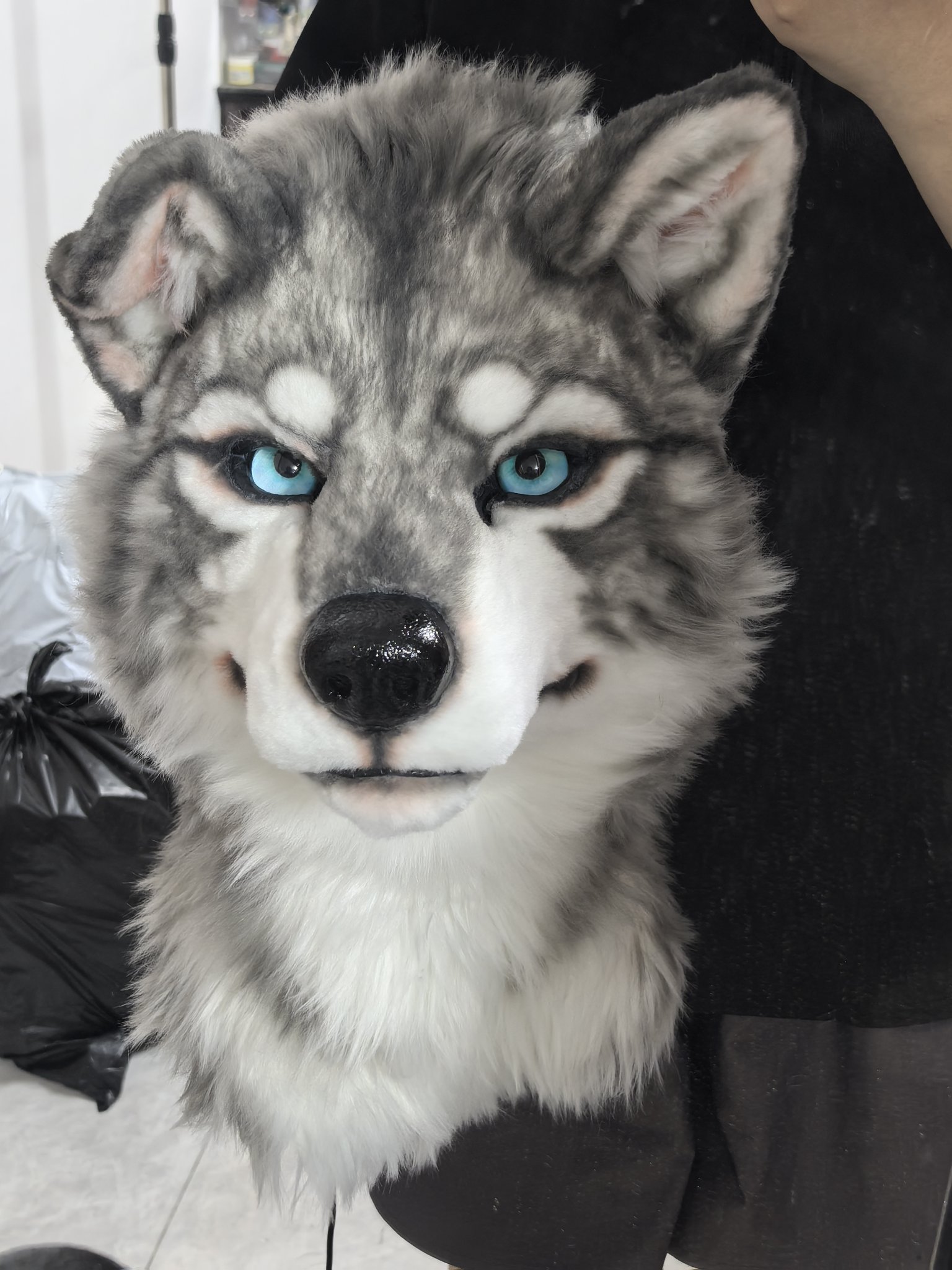 麿⚝⋆ ⛩️𝘔𝘈𝘙𝘖-麿⛩️→🇹🇼🇨🇳→ﾃﾞｻﾞﾌｪｽ (@furry7mikoto) / X