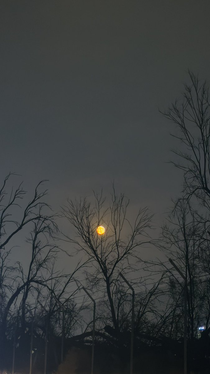 #الخسوف_الكلي_للقمر - اللهم ارحمنا إذا برق البصر وخسف القمر وجُمع الشمس والقمر، اللهم اجعل خسوف القمر هذا رحمة لنا ولا تؤاخذنا بذنوبنا ولا تنزل غضبك علينا واغفرلنا وارحمنا يا ارحمُ الراحمين