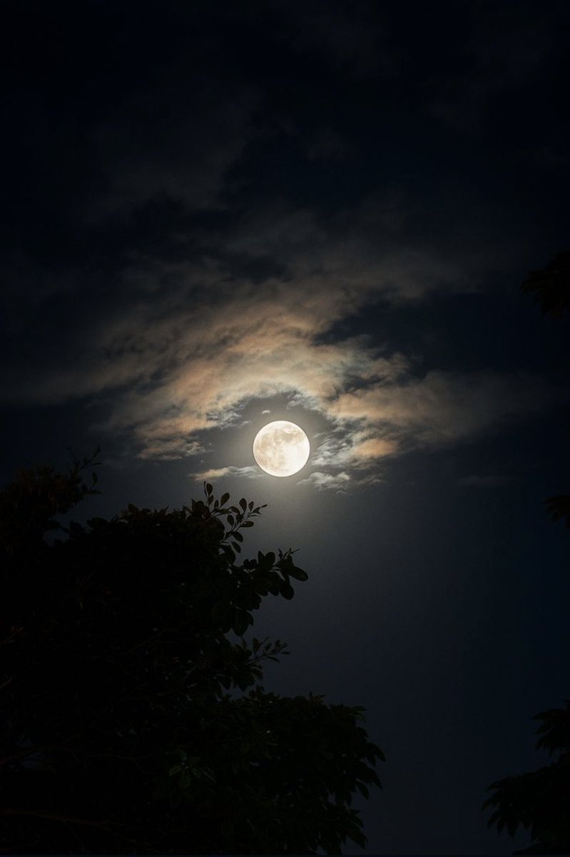 |Farid tweet media