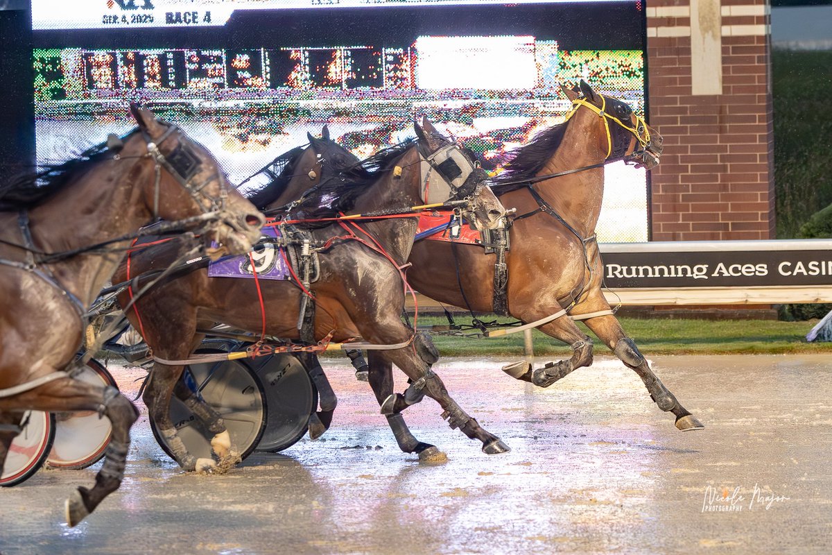 Darin Gagne tweet media