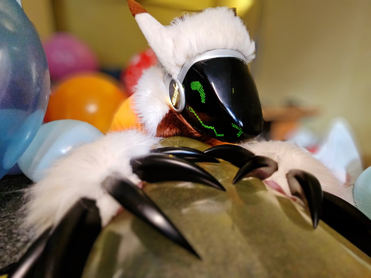 DUni protogen tweet media