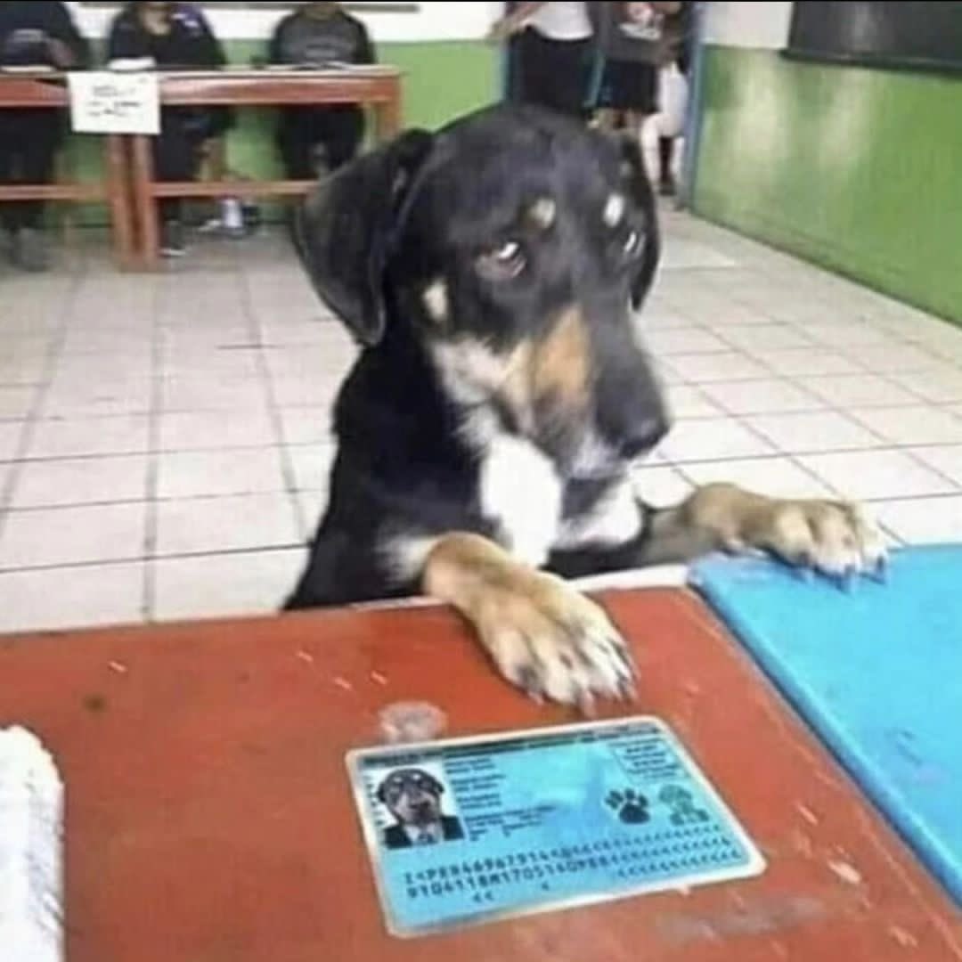 - Como que no estoy? Fijense bien Matías Galarza Fonda 
- No señor, su DNI es paraguayo