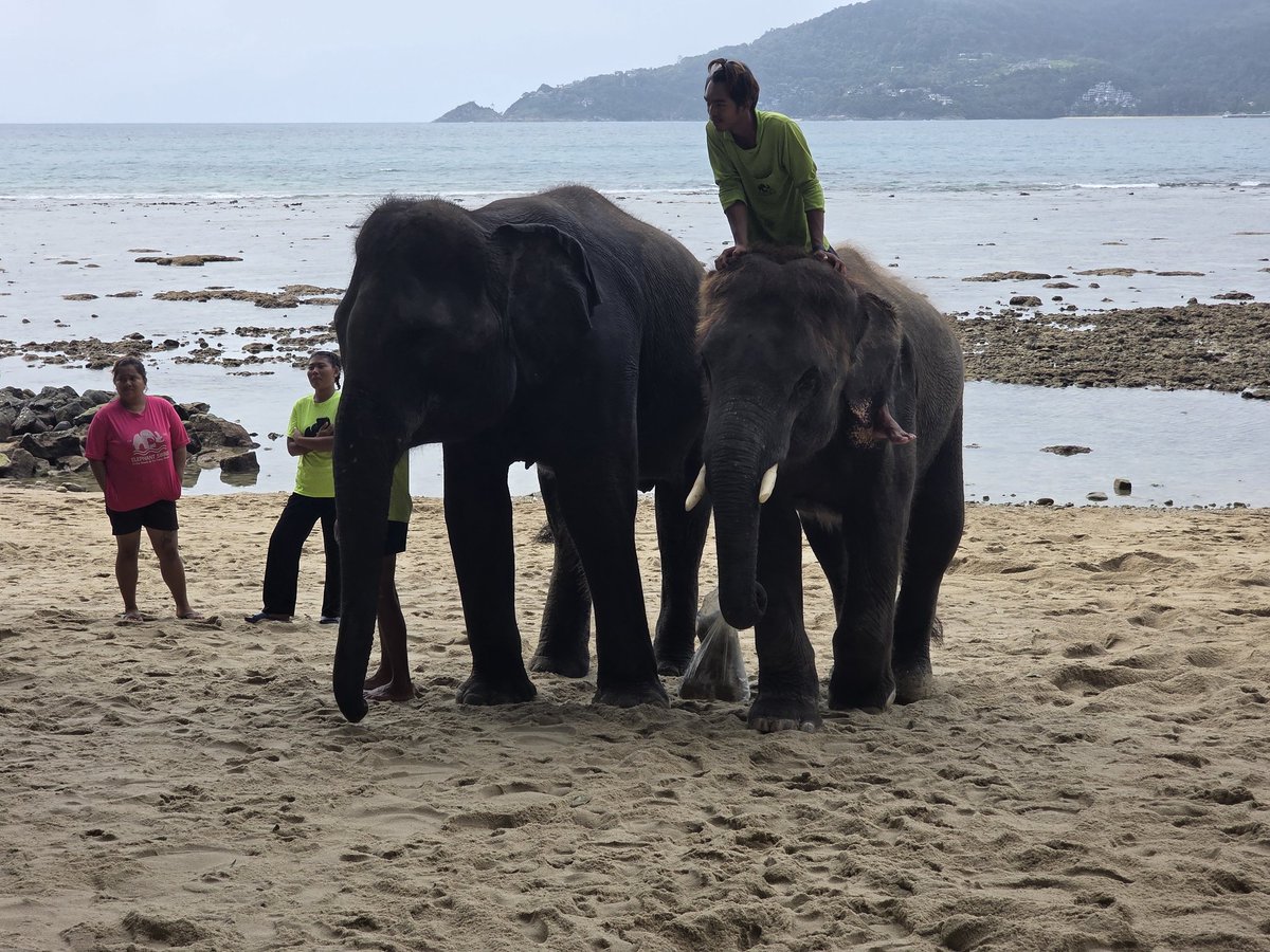 PartyChambers (@partychambers) on Twitter photo 