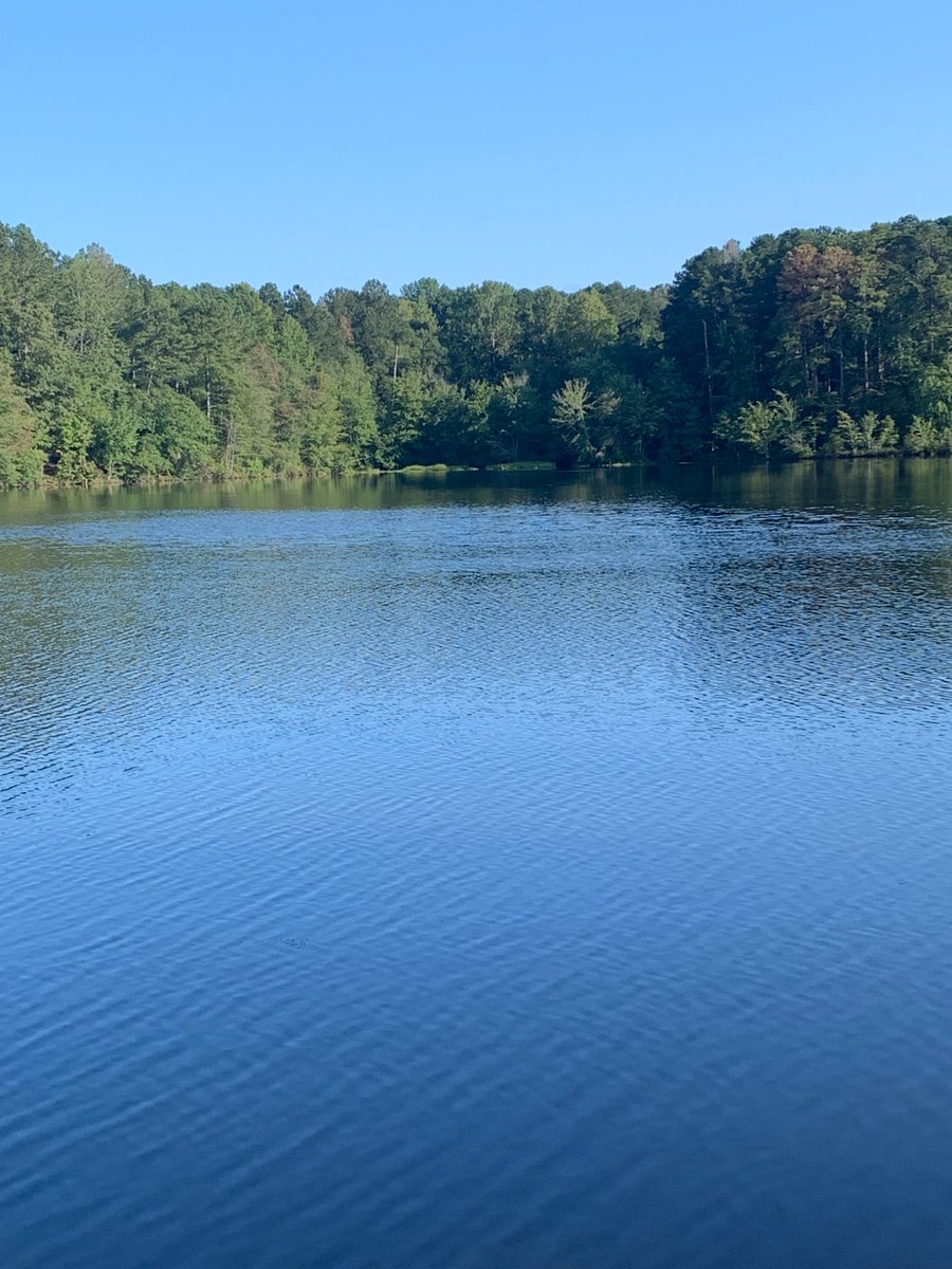 AlonzoEThornton's tweet photo. This Week’s Spiritual Affirmation 
Resting, Regeneration, &amp; Rejoining! ( Exodus 33:14; Rm. 6:4, Neh. 8:10)
Grace and Peace 🕊️ https://t.co/naCUfgG9St