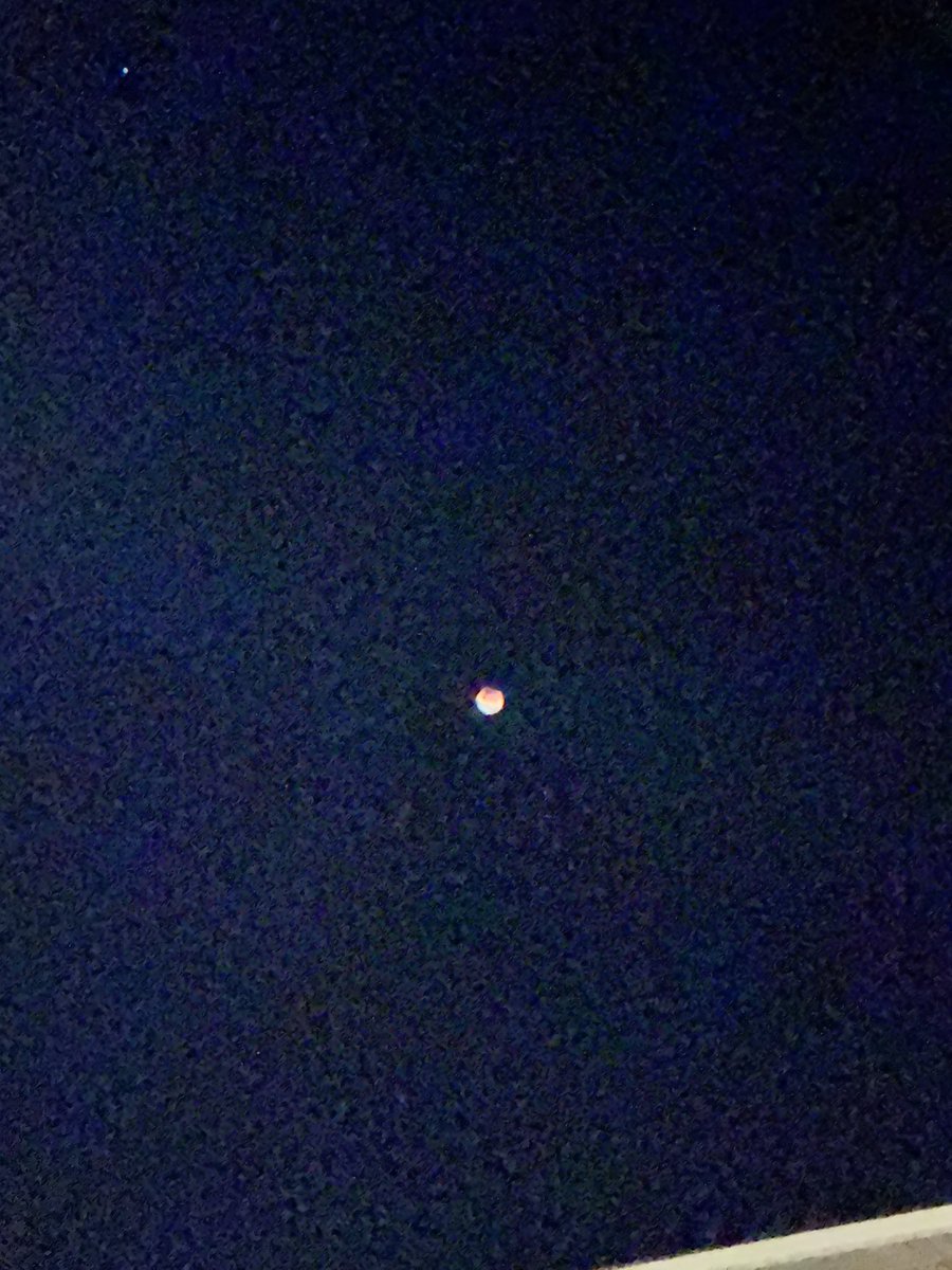 SnowHawk0's tweet image. 寝ようとしたら皆既月食らしくて写真撮ったけどカメラの性能的にわからなすぎて草