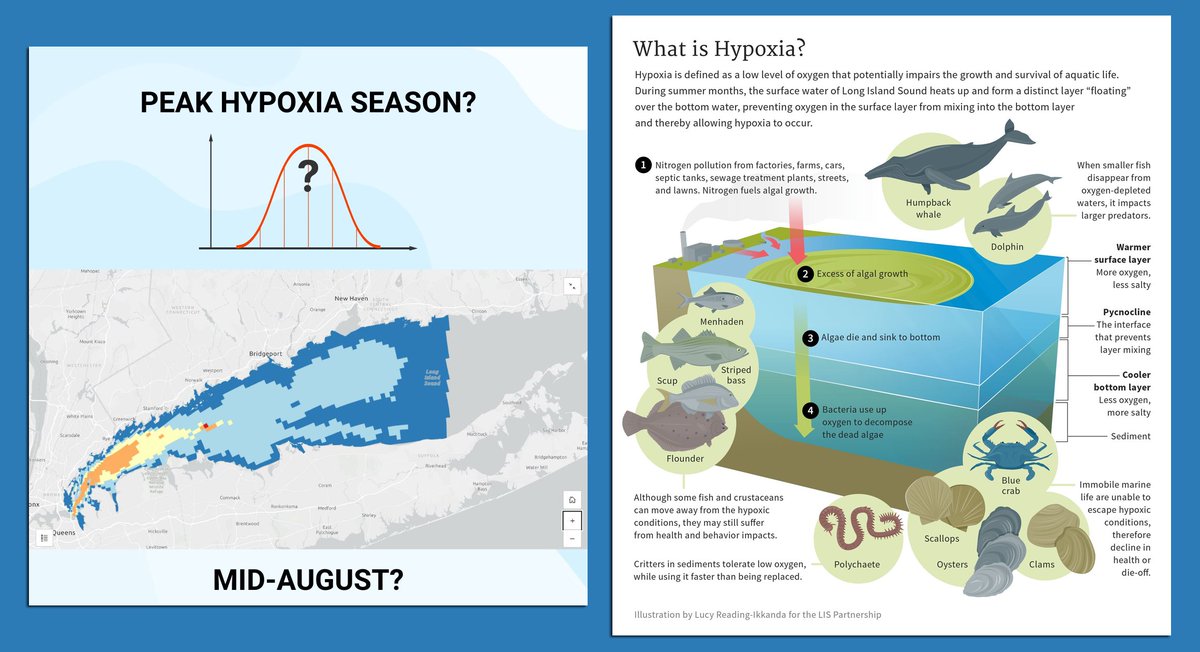 New York Sea Grant tweet media
