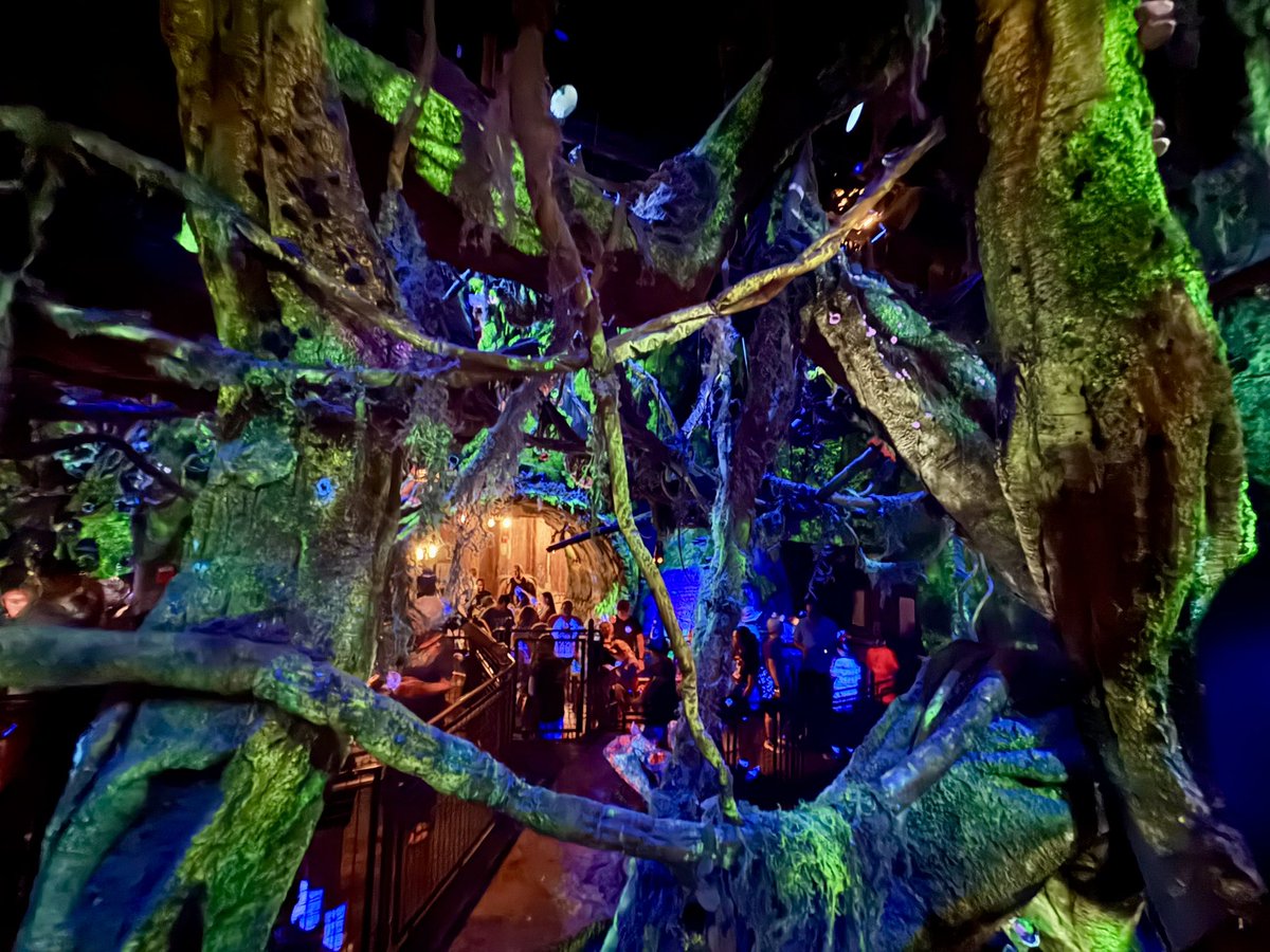 zachariahassler's tweet photo. And the award for the most beautiful queue line in the world goes to 🥁🥁🥁Avatar Flight Of Passage at Disney’s Animal Kingdom it’s a solid #award 10/10✨#WaltDisneyWorld #queueline https://t.co/ZH9bJ6CFTQ