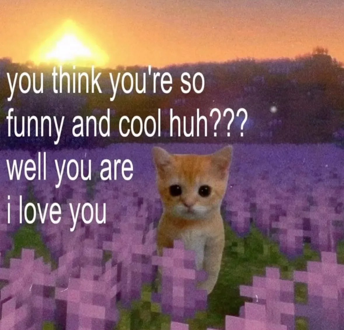 raccoon aesthetic. (@raccoonesthetic) on Twitter photo 