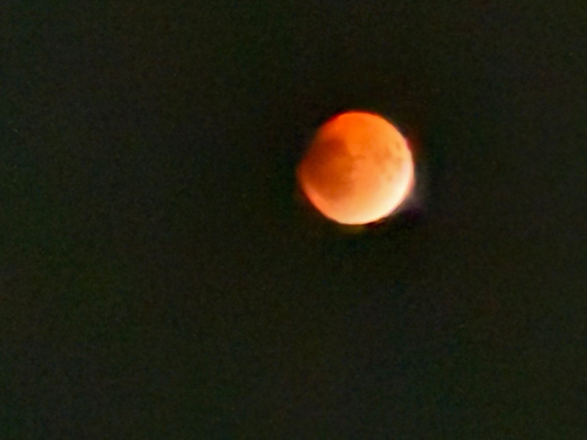 ratishiv's tweet photo. #BloodMoon#lunareclipse# https://t.co/FZxdwK7N7C