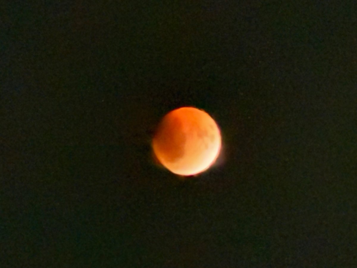 ratishiv's tweet photo. #BloodMoon#lunareclipse# https://t.co/FZxdwK7N7C