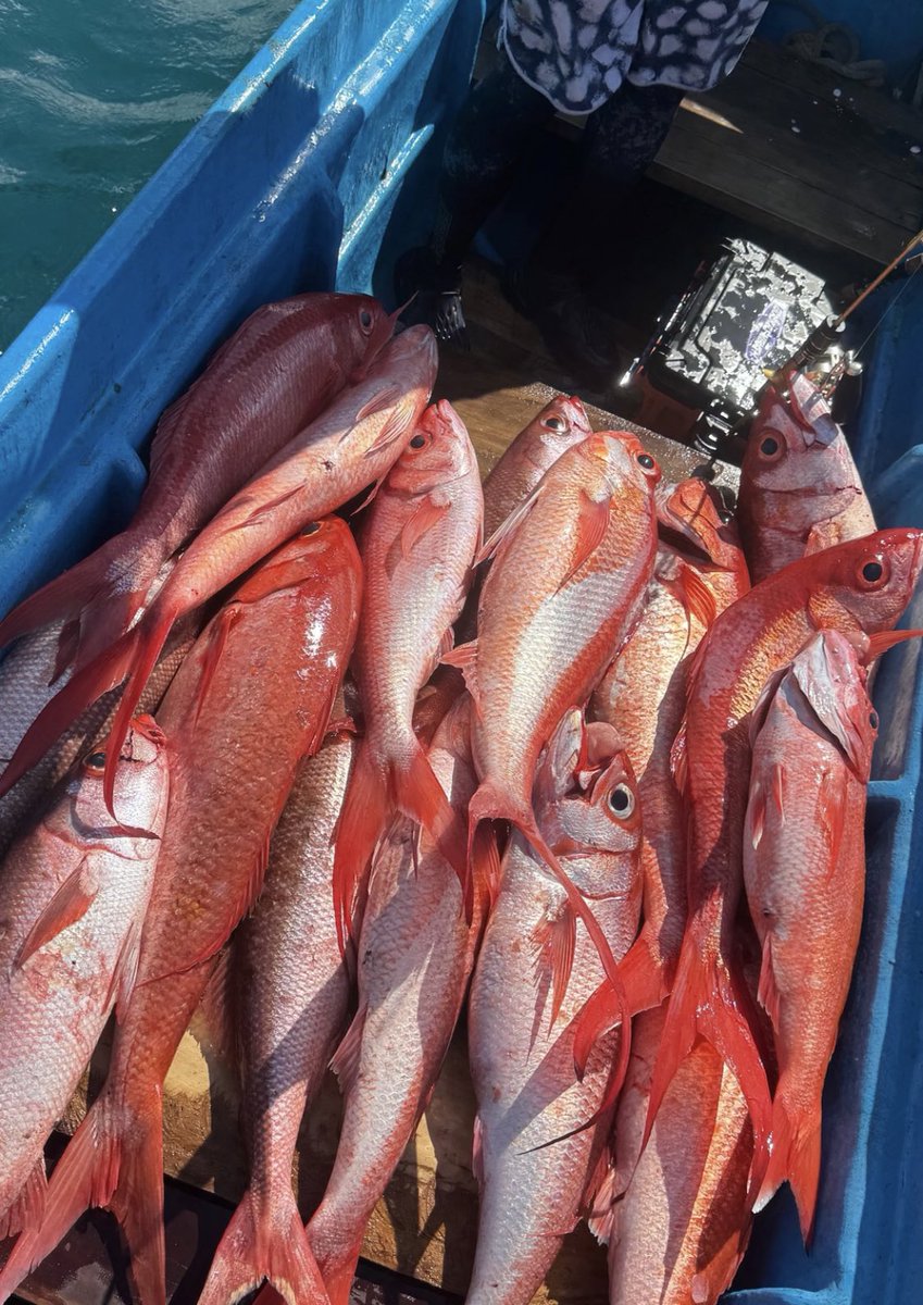 Thank you Lombok #lombokfishingtrip