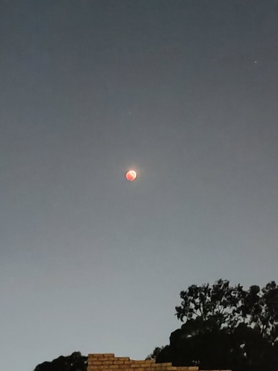 Themba Mazibuko tweet media