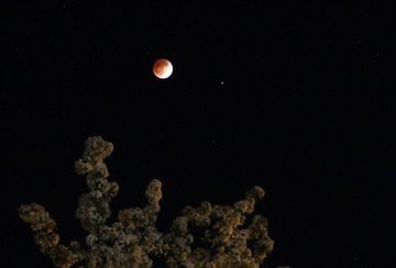 Red moon in my views this night - whats your view of it...