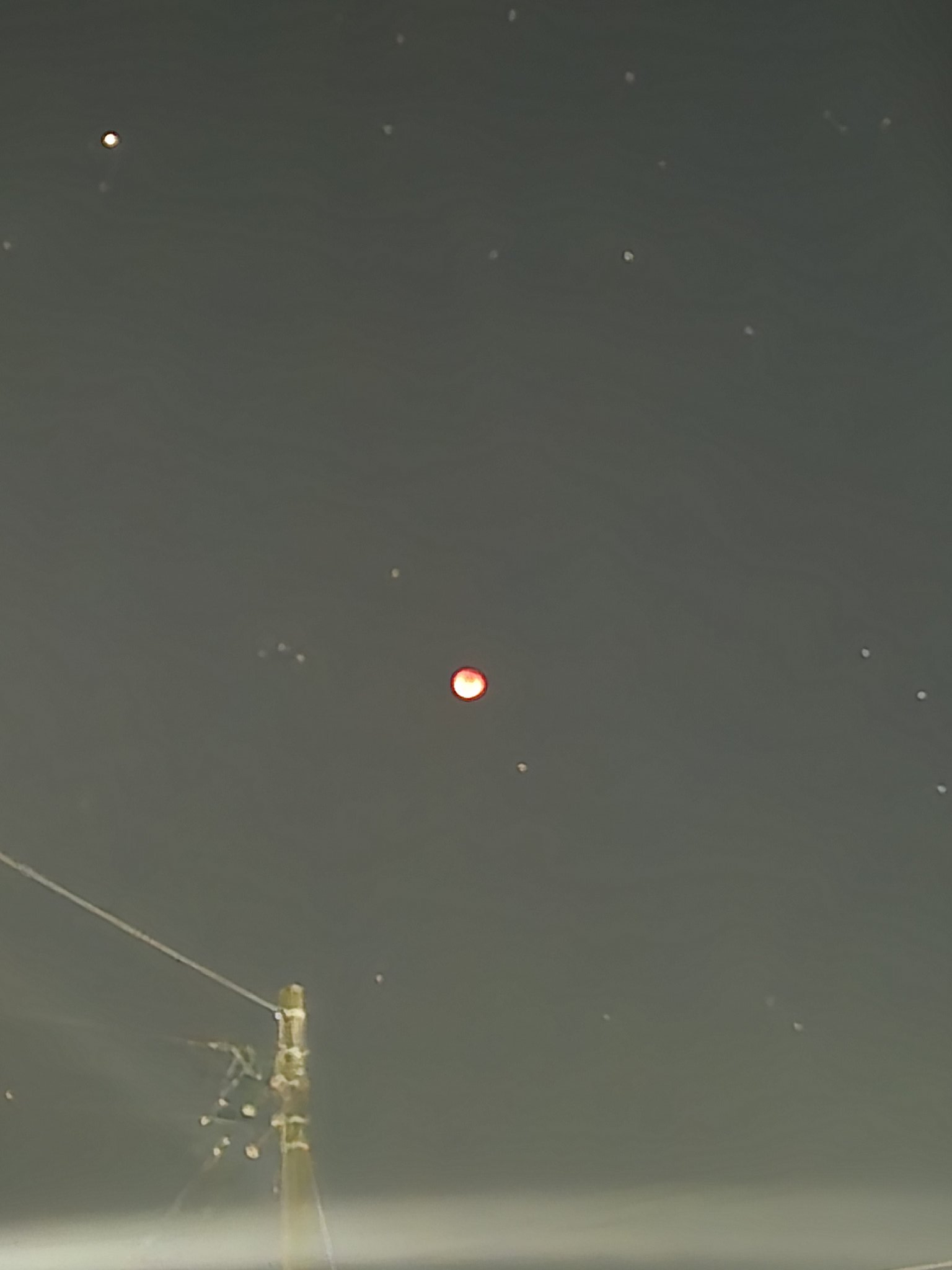 K18 R0.86 D0.28(片方)写真ではわかり難いですが綺麗な赤色です K18 R0.86 D0.28(片方)写真ではわかり難いですが綺麗な赤色です