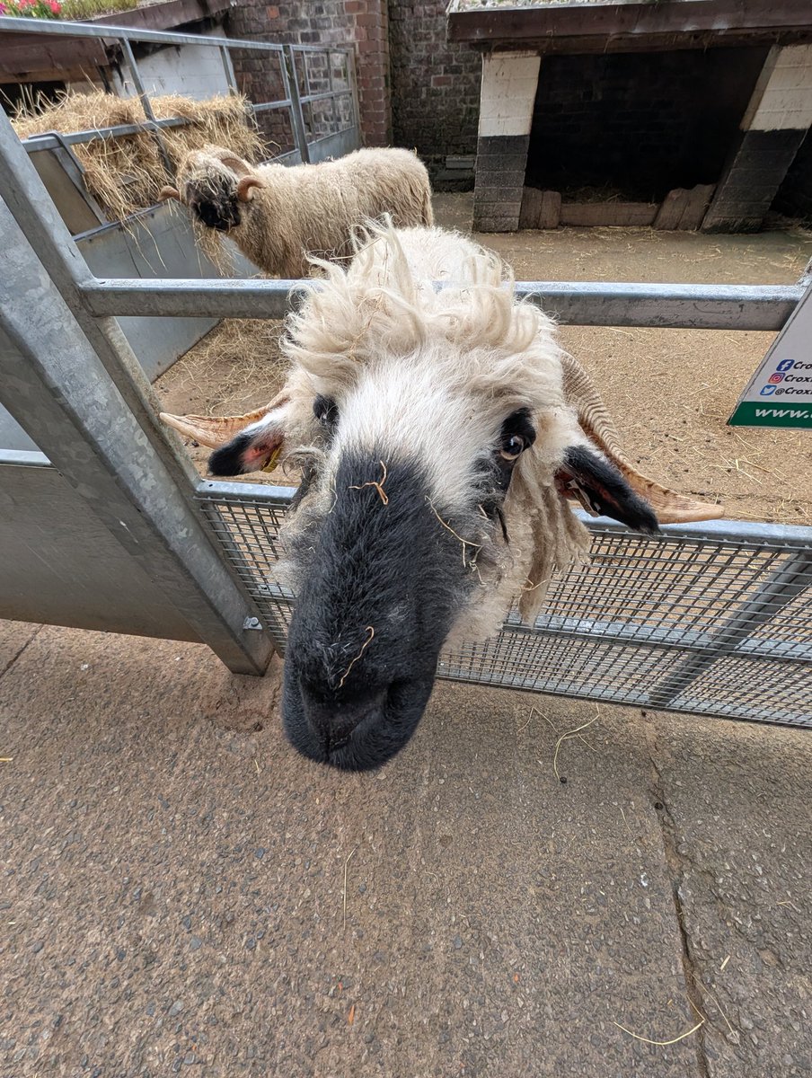 My boys are my everything. Such a lovely day out with them ❤️