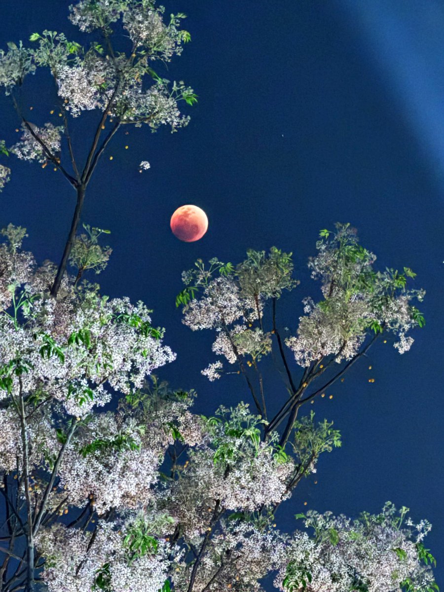 #LunarEclipse
