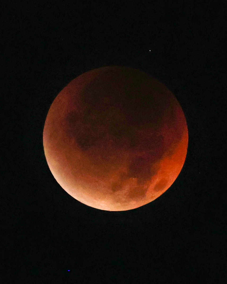 今日の下高井戸🍴坂津田圭 tweet media