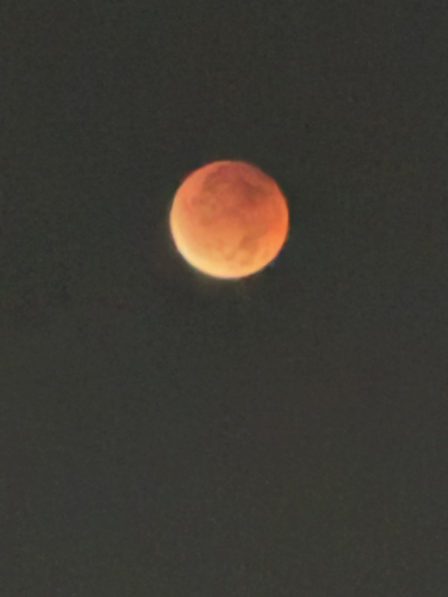 p*o様 血染めの月/Blood Moon DRK EN CGC7.5 血染めの月 (Blood Moon) · Chronicles Foreign Black Border