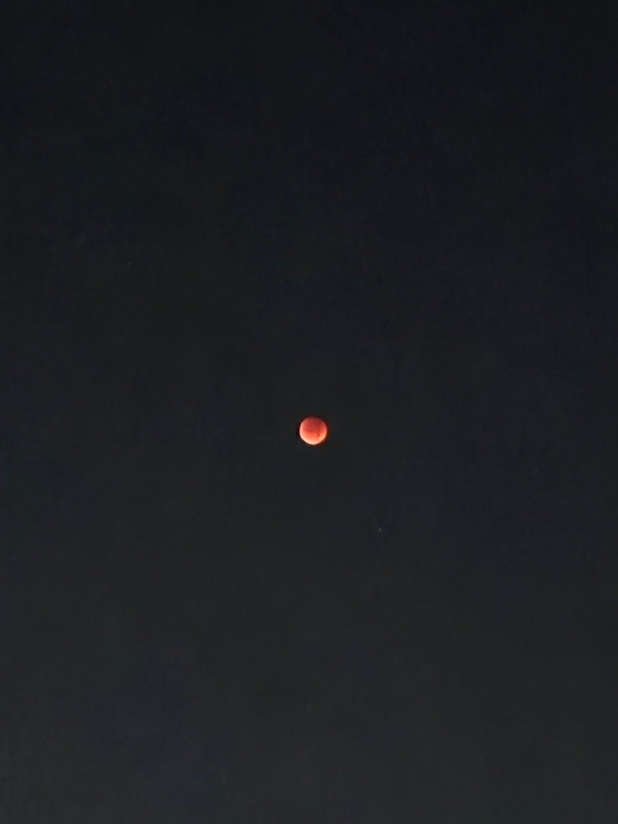 月食撮ってみたけど、スマホで月とか星とか撮るのムズいね
設定のいじり方とかよくわからんかったや