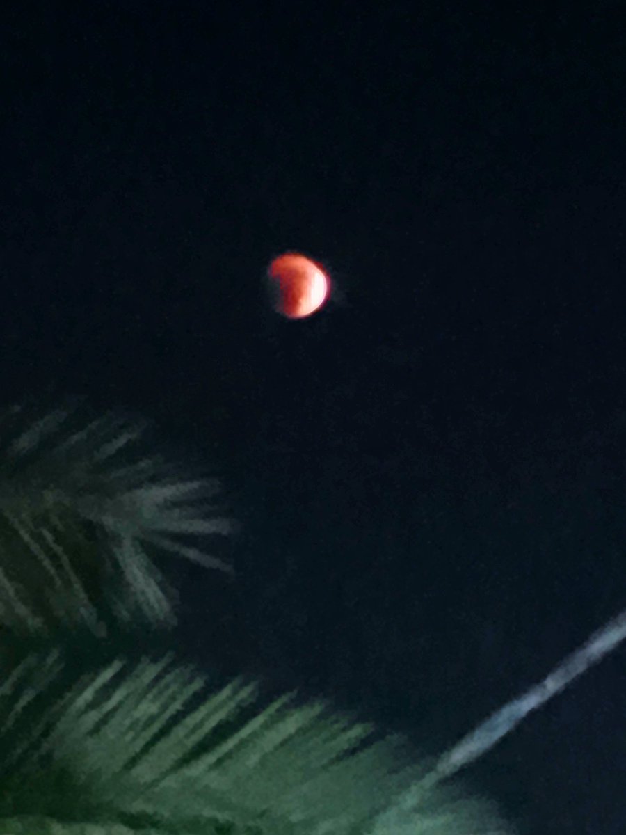 تصوير على گد الحال من كمية الزوم القمر صار طوبة