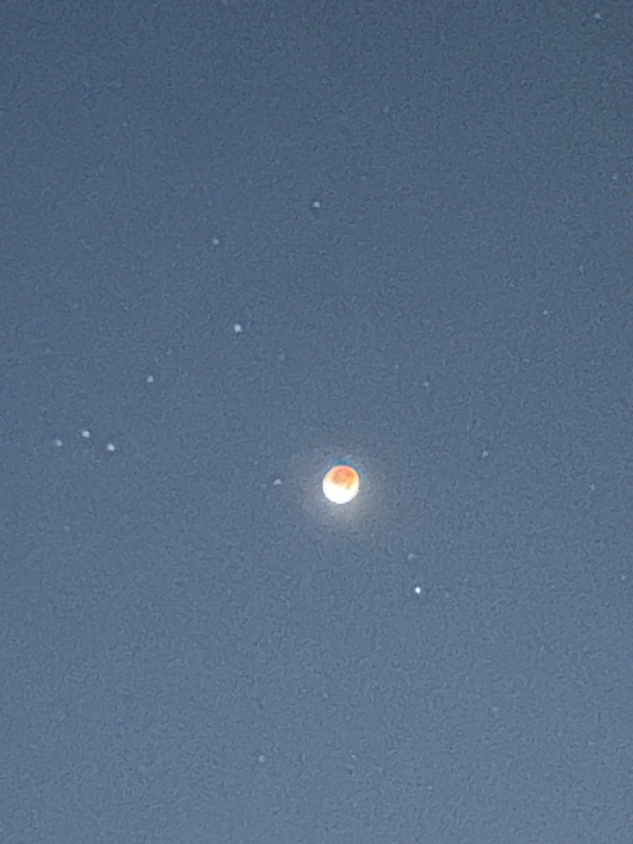 皆既月食〜！！