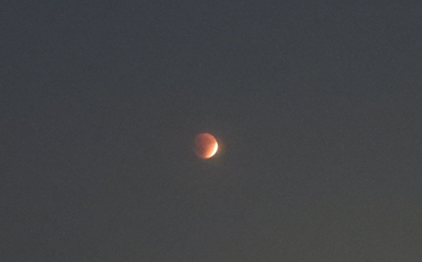 RaduTudor1970's tweet image. #Eclipsa de #luna văzută din #Romania 
#moon 
#nikoncreators