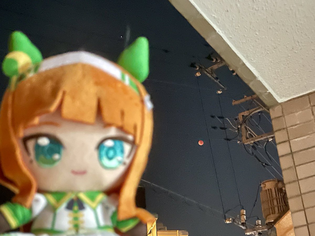 スズカさん、月が綺麗だね…