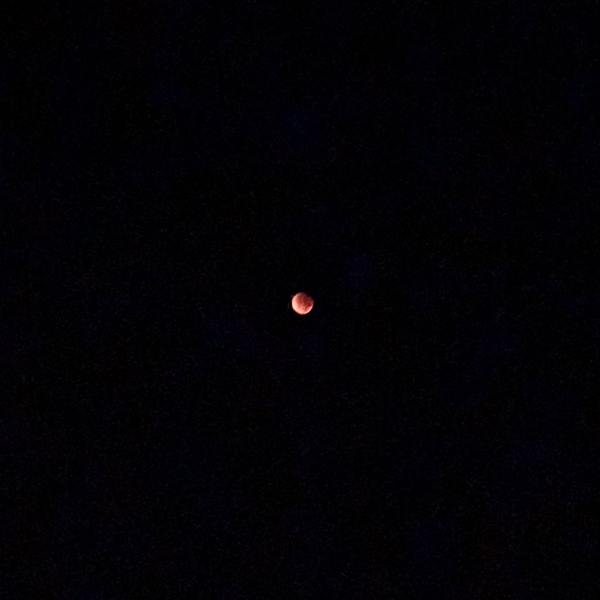 xxx_LEMONeD's tweet photo. 月食見れた！
BGMはnüeの同じ月を見ている🌘 https://t.co/xIKzTxXlbK