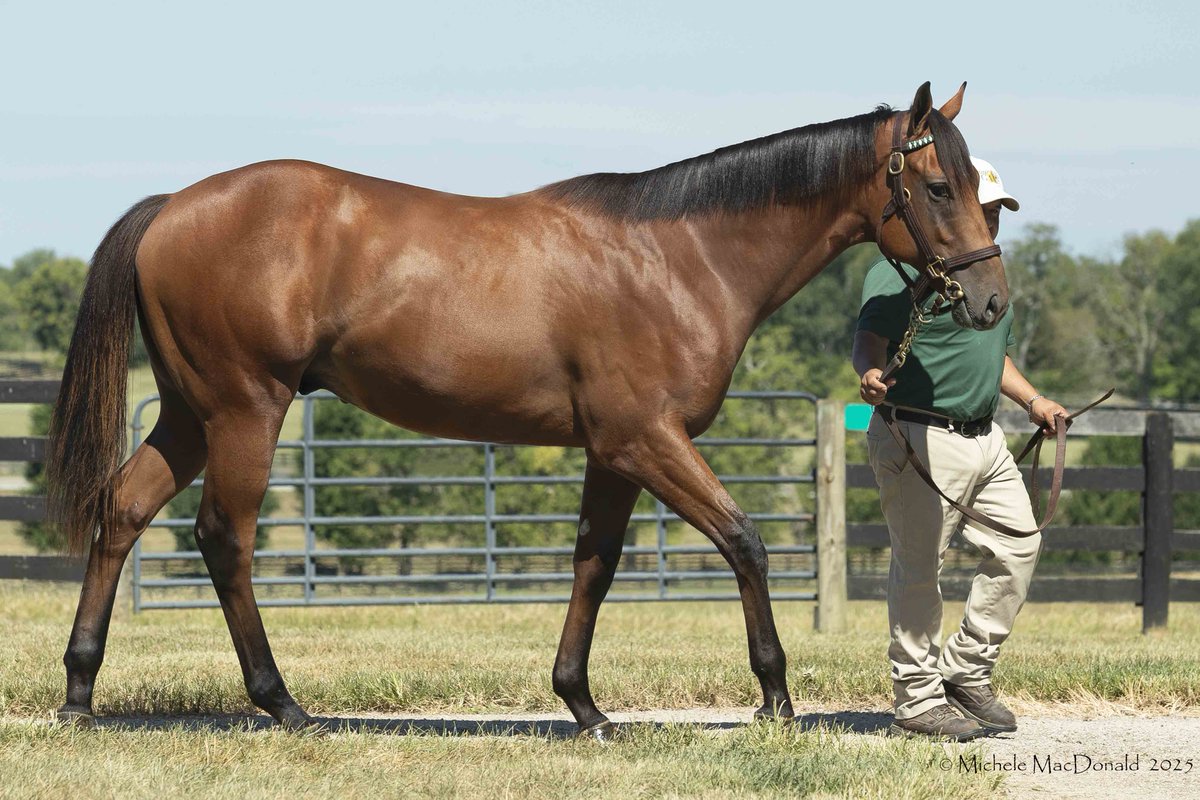 Summer Wind Farm tweet media