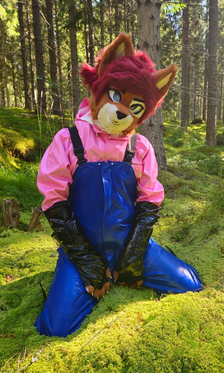 Love being silly cat in the forest