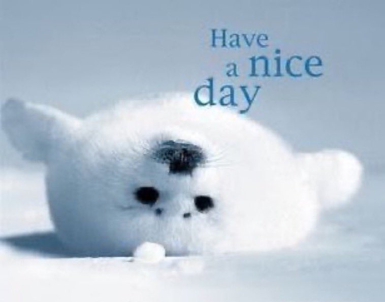 Malamia09 tweet media