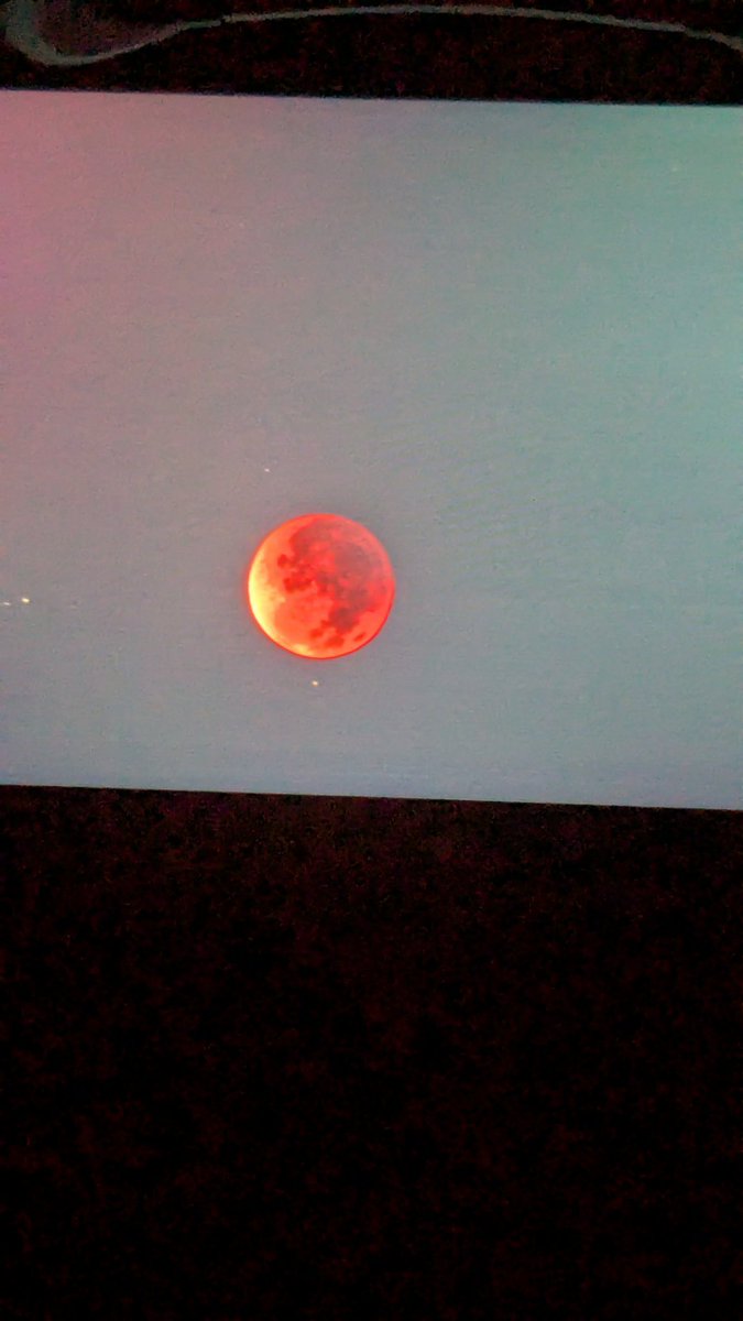 t_informations's tweet image. 霧が凄すぎて、もはや早朝の雲海の方が期待できるレベル。

#皆既月食　#十津川村