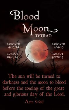<a href="/DanChepta/">DP 🇰🇪</a> Why was it called Blood moon?