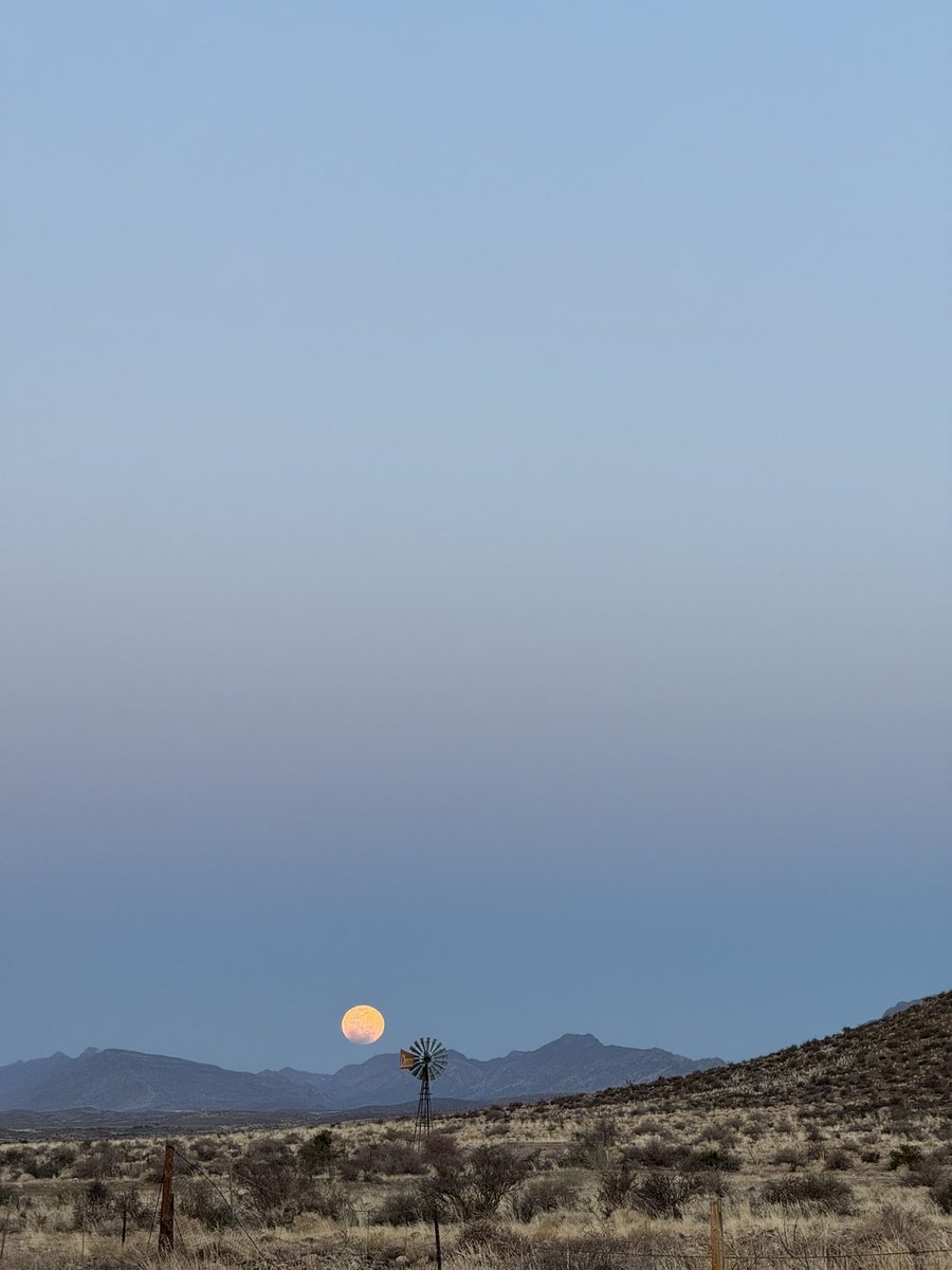 Driving into the Blood Moon 🐺🌚