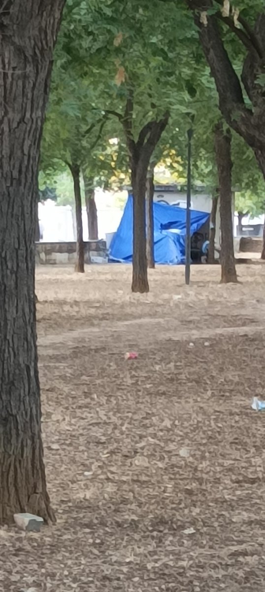 ArtEDuran tweet media