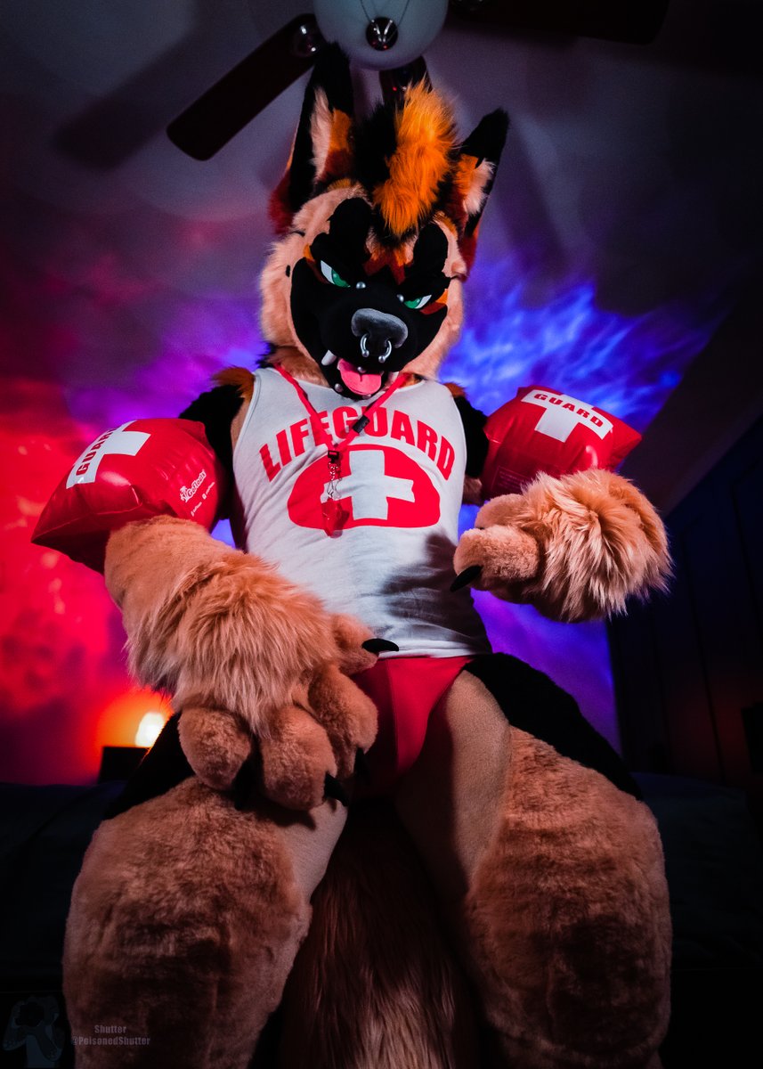 Ryker (GOH ACFI25) (@rykertheshep) on Twitter photo Hey puppy,
I heard ya needed bulge to face resuscitation.
Don't worry, I got you covered. πΆ
π·: <a href="/PoisonedShutter/">Shutter</a> Hey puppy,
I heard ya needed bulge to face resuscitation.
Don't worry, I got you covered. πΆ
π·: <a href="/PoisonedShutter/">Shutter</a>