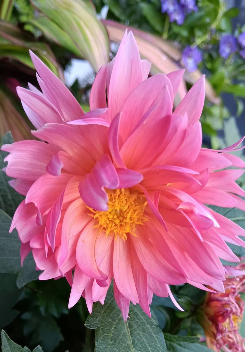 Looking a tad rode hard and put away wet