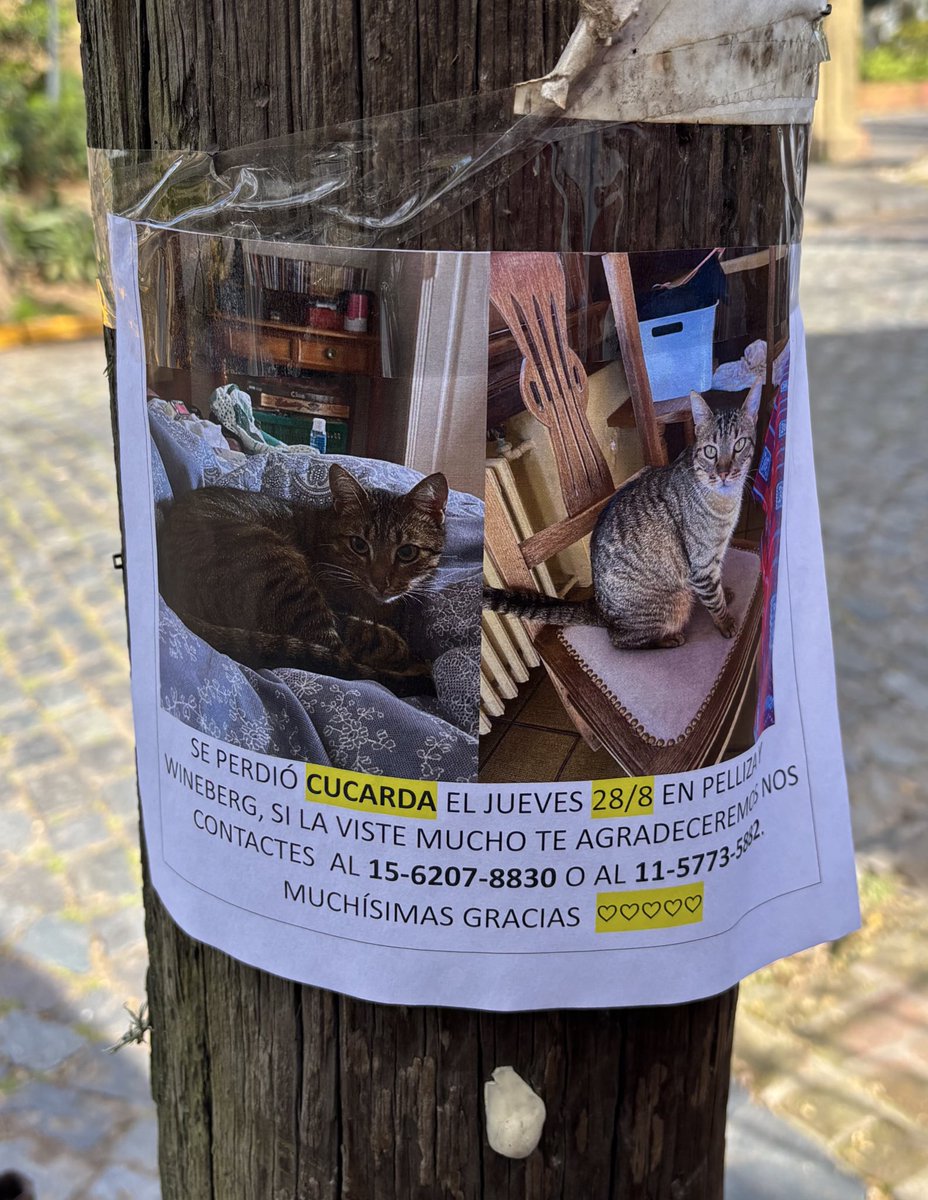 Porque le pones CUCARDA