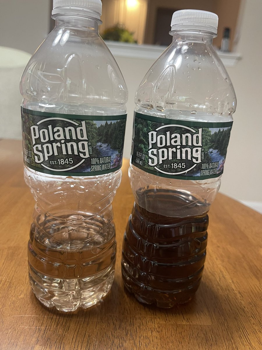 Nicole Potenza Denis tweet media