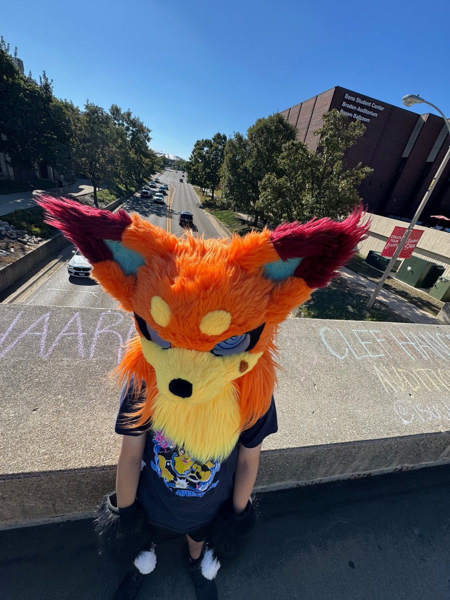 Dizzy🦊 tweet media