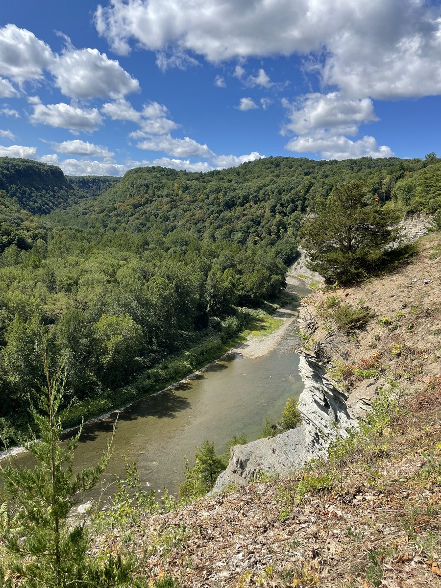 We have some of the worst politicians…but our parks in NY are spectacular!!
Letchworth State Park