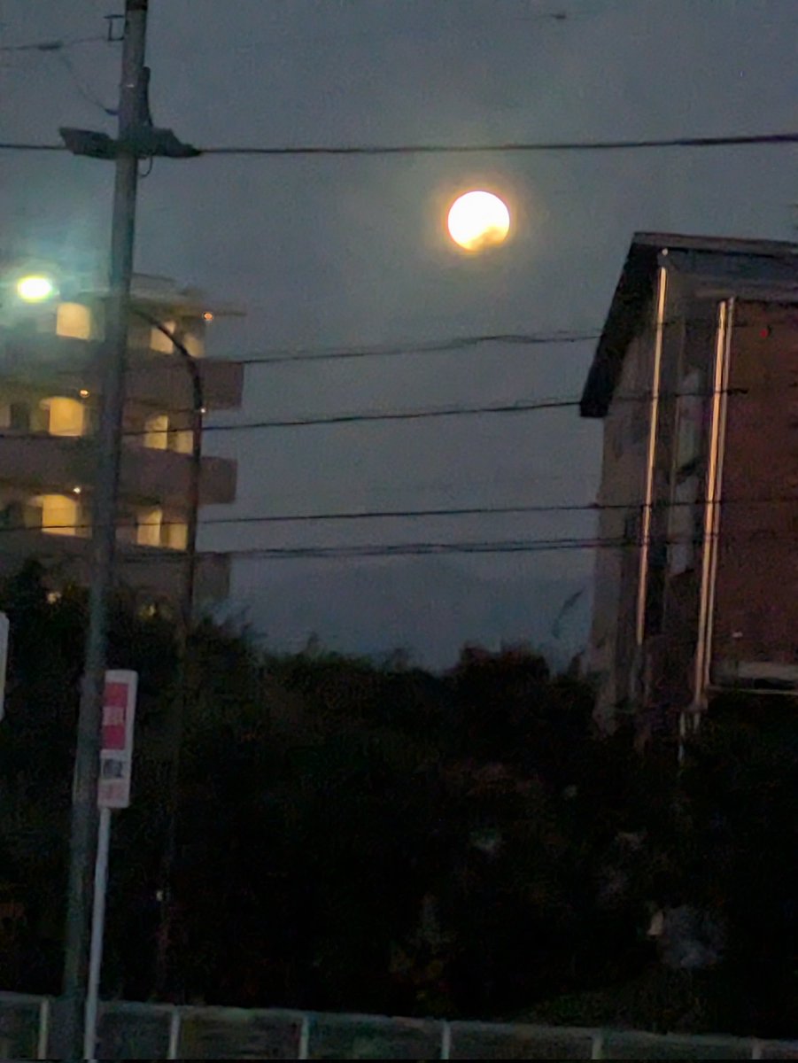lealistaff's tweet photo. おはようございます😊

昨夜遅くに #皆既月食2025  がありました🌜🌝

夜中トラックで走ってるのでみれました😆
赤銅色の月になり綺麗でした✨

写真はスマホでの撮影でうまくとれませんでした
本日もよろしくお願いします😊
皆さんが笑顔あふれる1日になりますように🎶🍀*゜ https://t.co/l3u5bePPrA