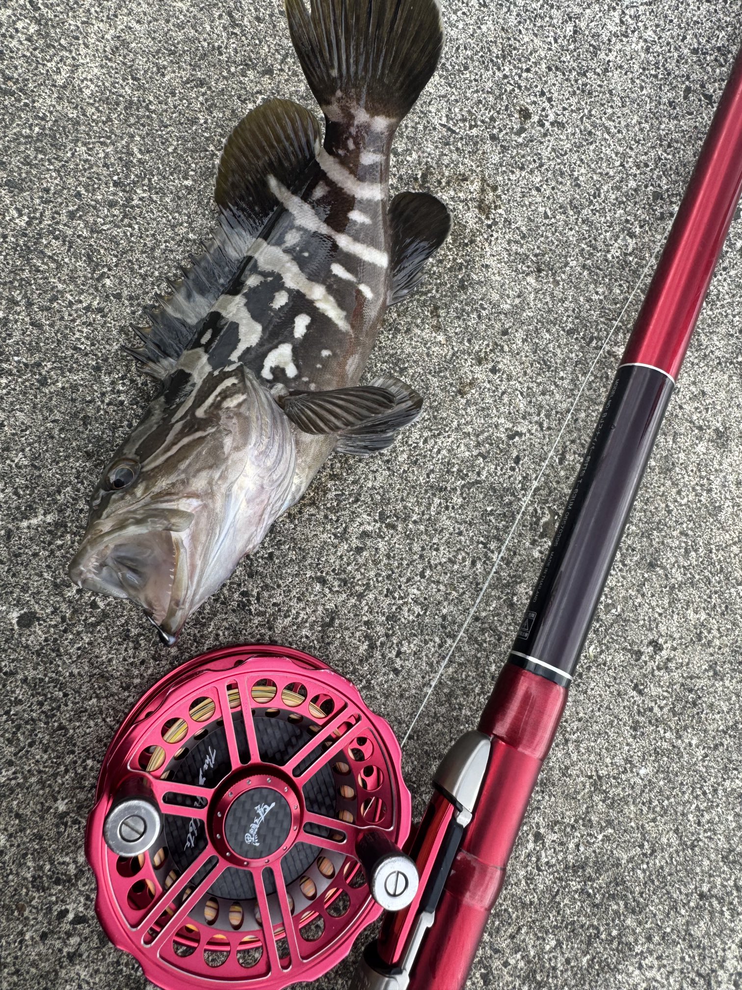 隠岐の釣りガイド〈限定版〉2冊 隠岐の釣りガイド〈限定版〉2冊 隠岐の釣りガイド〈限定版〉2冊