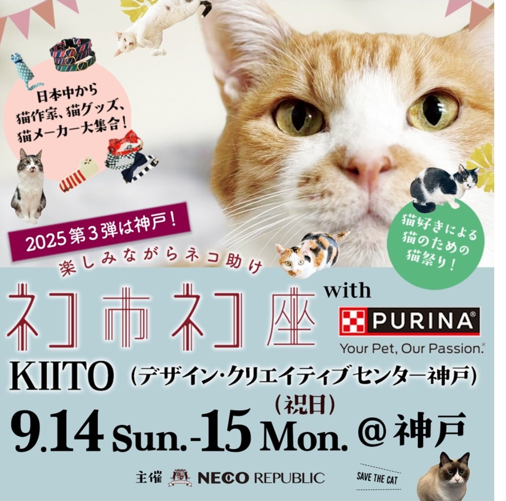 追い出し猫サクラ🍰(゜∇^🌸)公式 on X: 